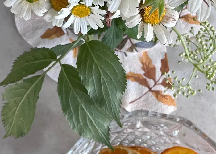 Vacanze Fra-i-cup 1°p Appartement Alfiano Natta